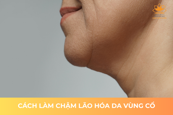 Cách Làm Chậm Lão Hóa Vùng Cổ 